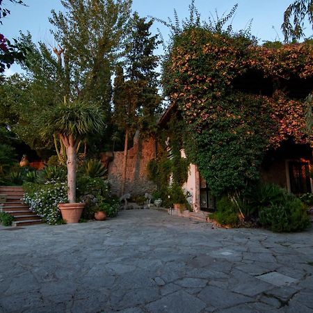 Villa Le Palme Forio di Ischia Eksteriør billede