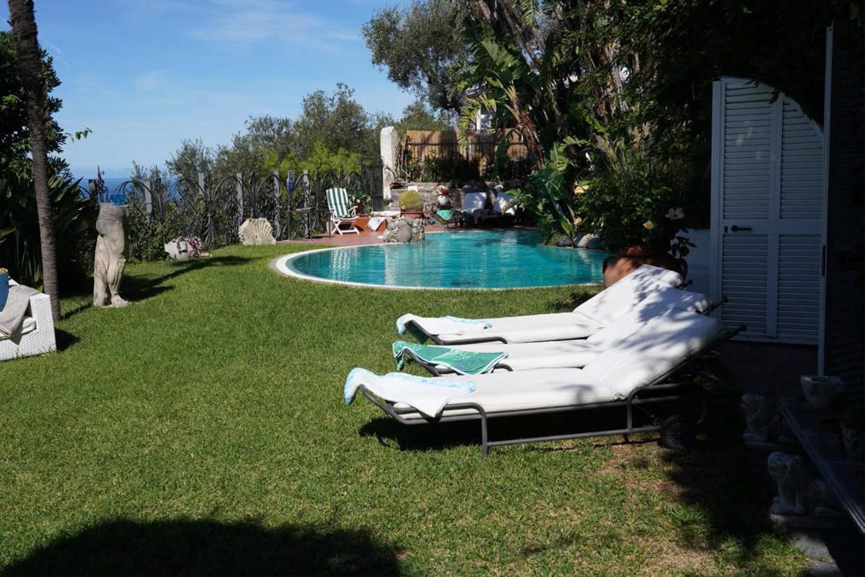 Villa Le Palme Forio di Ischia Eksteriør billede