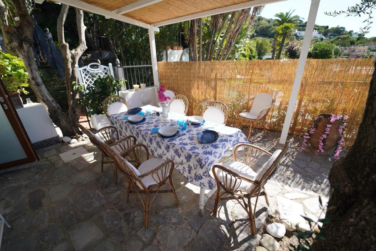 Villa Le Palme Forio di Ischia Eksteriør billede