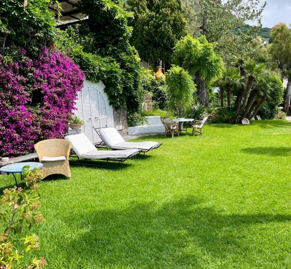 Villa Le Palme Forio di Ischia Eksteriør billede