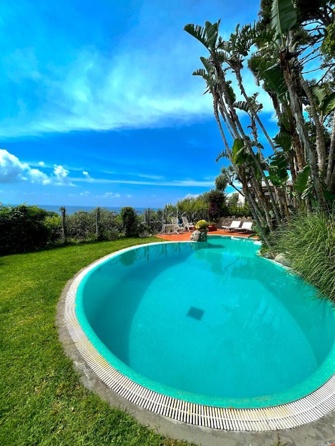 Villa Le Palme Forio di Ischia Eksteriør billede
