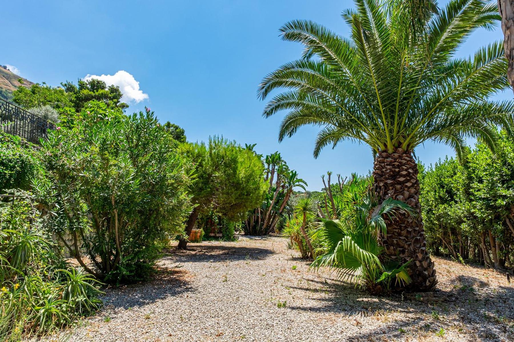 Villa Le Palme Forio di Ischia Eksteriør billede