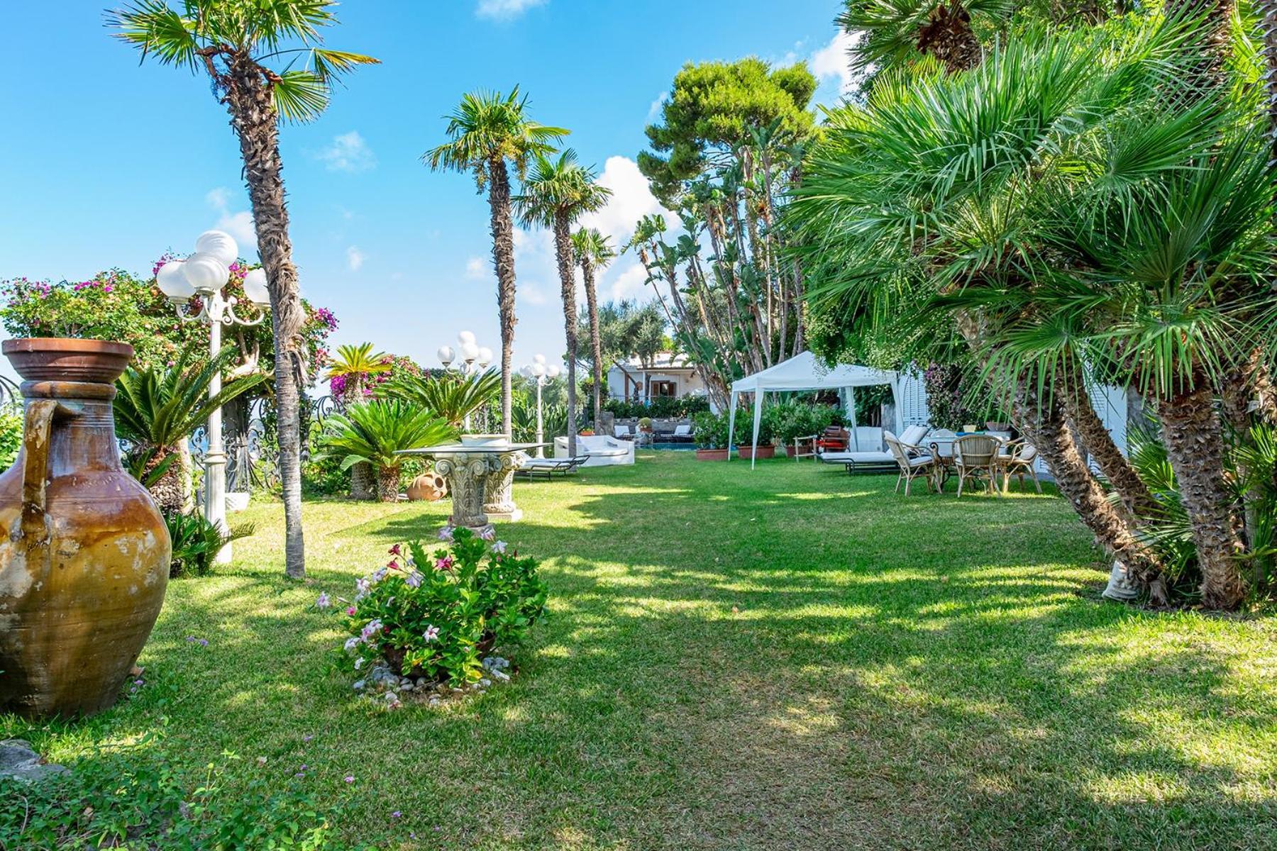 Villa Le Palme Forio di Ischia Eksteriør billede