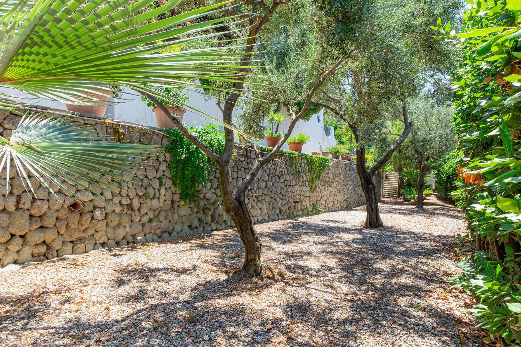 Villa Le Palme Forio di Ischia Eksteriør billede