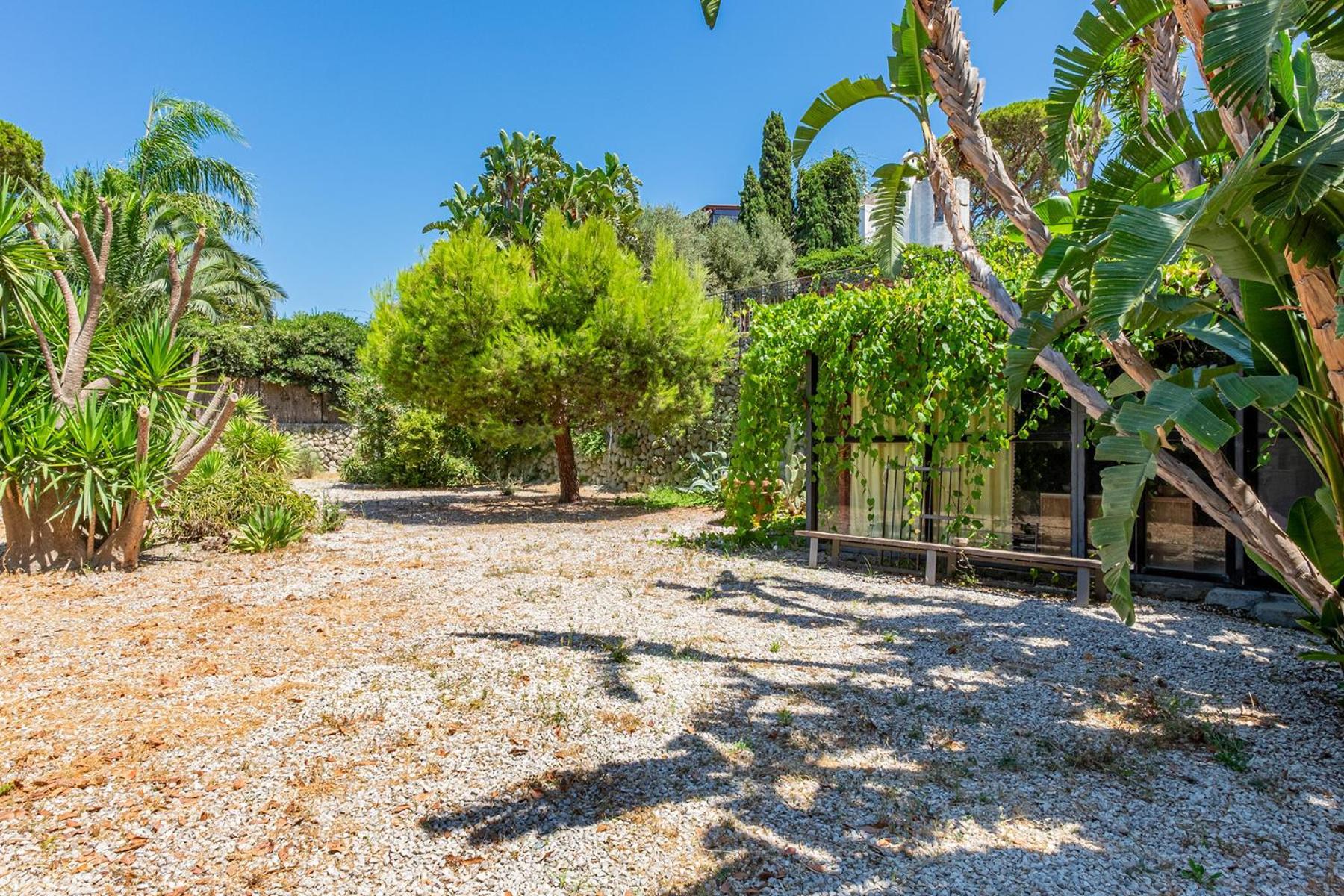 Villa Le Palme Forio di Ischia Eksteriør billede