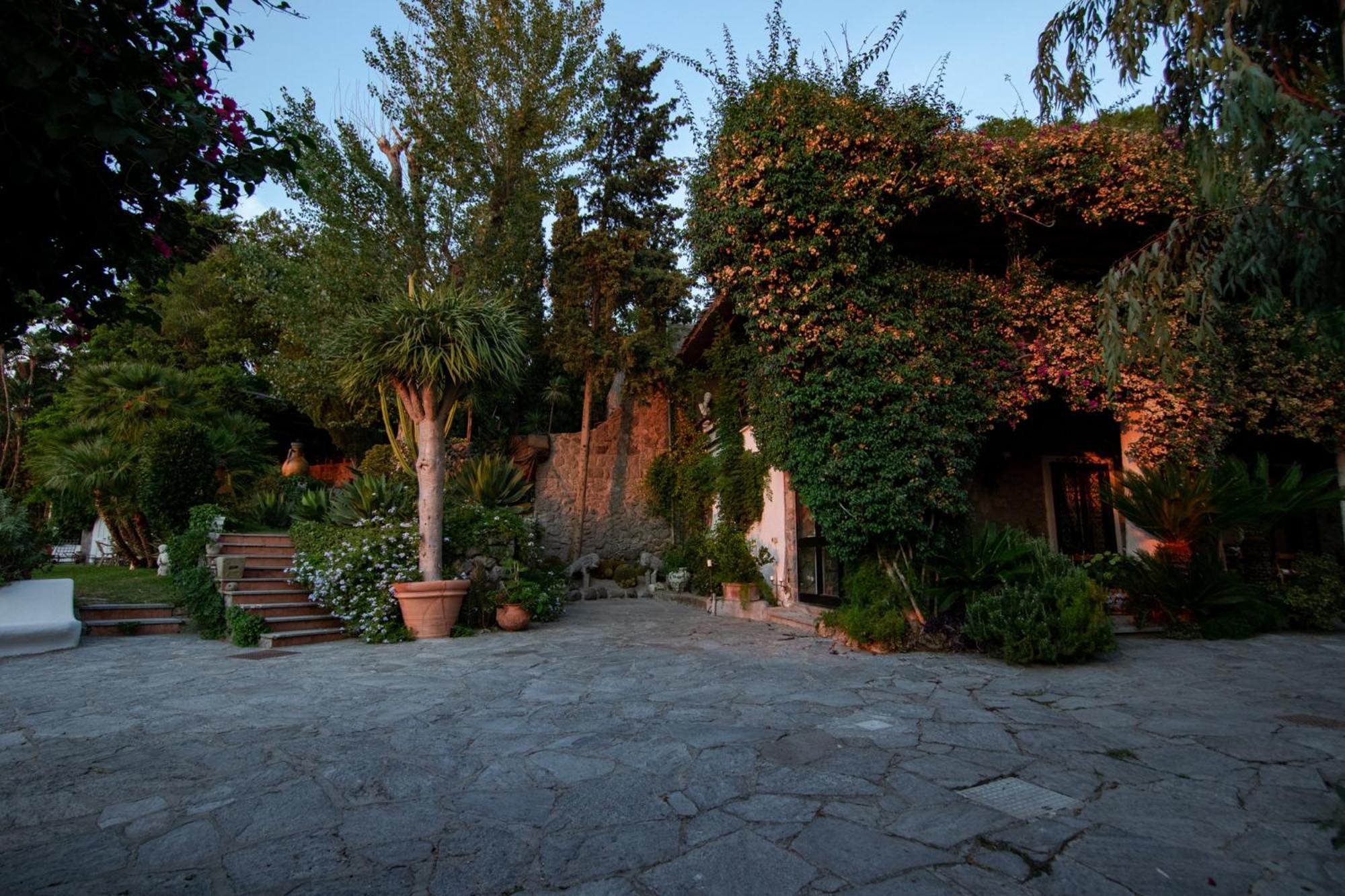 Villa Le Palme Forio di Ischia Eksteriør billede